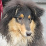 Moritz
